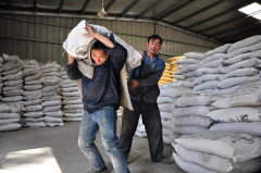 您的生产车间目前还存在这样的巨大浪费现象吗? 您的生产车间目前还存在这样的巨大浪费现象吗?