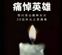 阳光甚好,是有人为我们挡住了黑暗... 阳光甚好,是有人为我们挡住了黑暗...